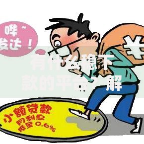 有什么稳下款的平台？解析正规贷款渠道与申请策略