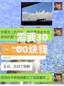 需要3000块钱哪里可以借出来,全网收集5个黑户借款平台