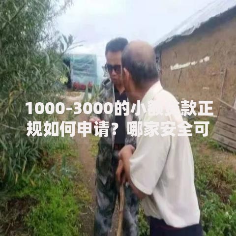 1000-3000的小额贷款正规如何申请？哪家安全可靠？