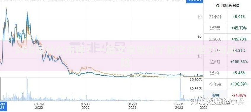 SGB是什么币种？一篇文章带你了解它的潜力与风险
