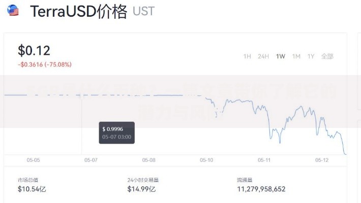 SGB是什么币种？一篇文章带你了解它的潜力与风险