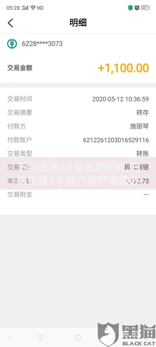 下款收费20点是怎样的,归纳整理5个黑户花户借款必下口子2025