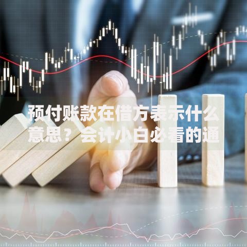 预付账款在借方表示什么意思？会计小白必看的通俗解读