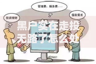 黑户实在走投无路了怎么处理,整合5款专业贷款平台