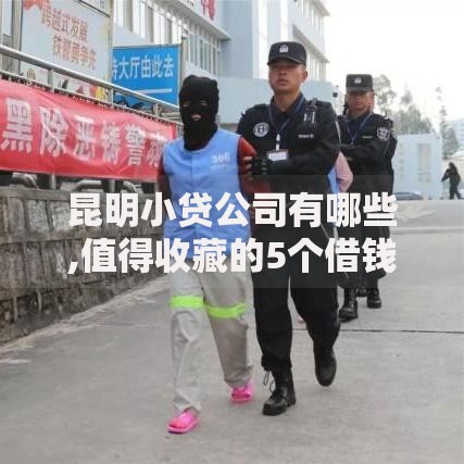 昆明小贷公司有哪些,值得收藏的5个借钱平台