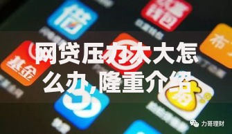 网贷压力太大怎么办,隆重介绍5个平台借钱利息最低