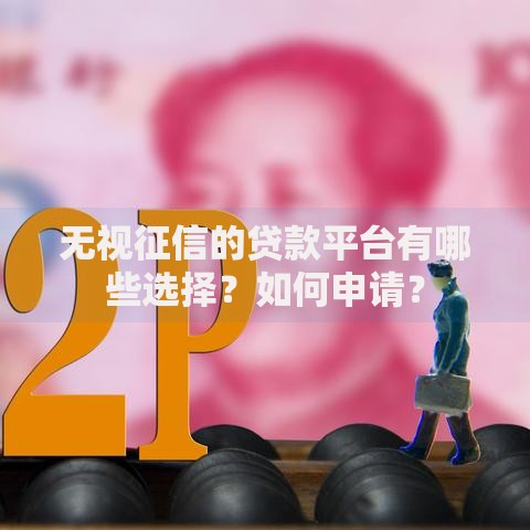 无视征信的贷款平台有哪些选择？如何申请？