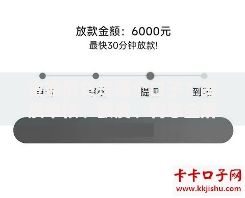 金鑫借贷是哪个口子?资质审核、额度、利息全解析 金鑫借贷是哪个口子?资质审核、额度、利息全解析
