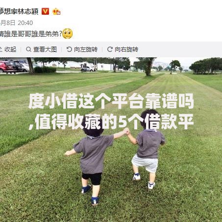 度小借这个平台靠谱吗,值得收藏的5个借款平台利息最低最正规放款最快