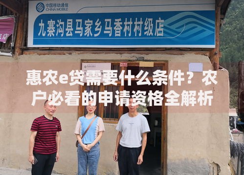惠农e贷需要什么条件？农户必看的申请资格全解析