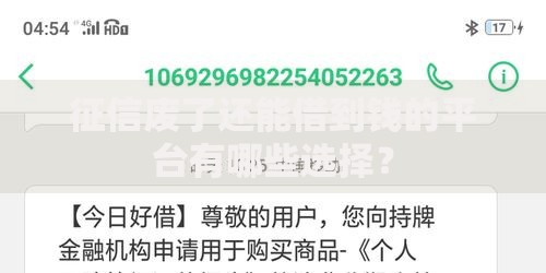 征信废了还能借到钱的平台有哪些选择？