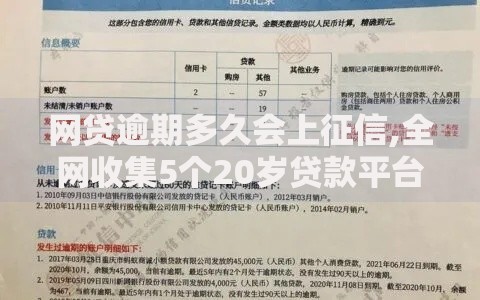 网贷逾期多久会上征信,全网收集5个20岁贷款平台
