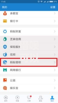 借呗可以提现到银行卡吗？真实使用场景深度剖析