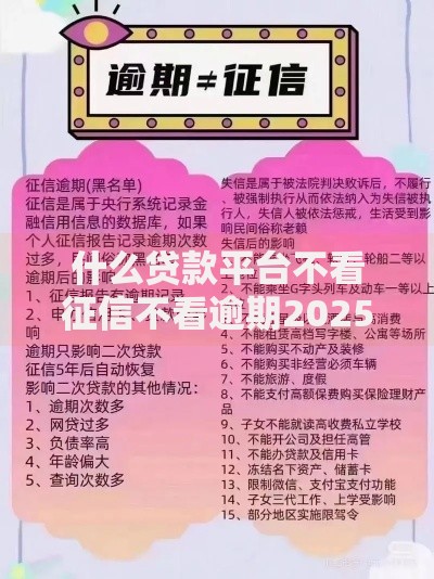 什么贷款平台不看征信不看逾期2025最新解析