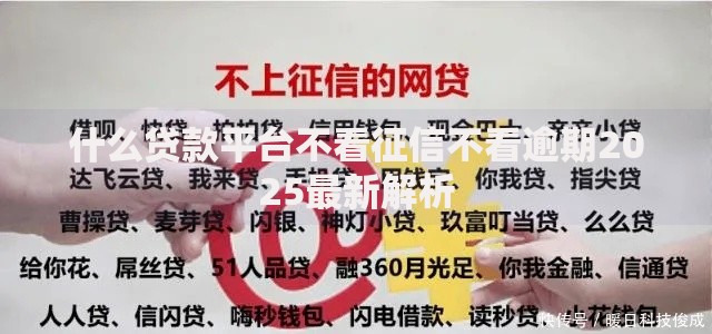 什么贷款平台不看征信不看逾期2025最新解析