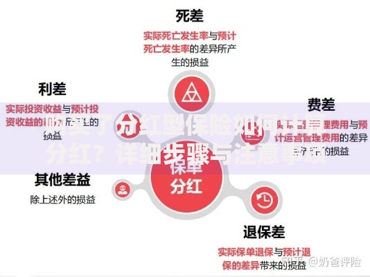购买了分红型保险如何计算分红？详细步骤与注意事项解析