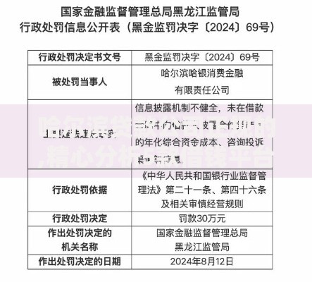哈尔滨贷款公司正规的,精心分析5款借钱平台的利率低
