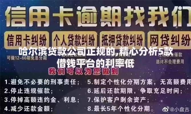 哈尔滨贷款公司正规的,精心分析5款借钱平台的利率低