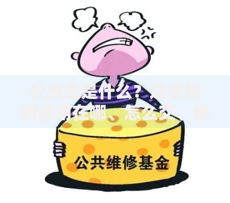 公维金是什么?这笔钱到底用在哪、怎么交、谁来管 公维金是什么?这笔钱到底用在哪、怎么交、谁来管
