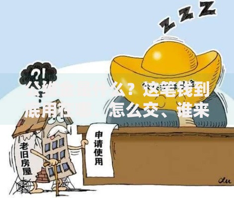 公维金是什么?这笔钱到底用在哪、怎么交、谁来管 公维金是什么?这笔钱到底用在哪、怎么交、谁来管