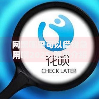网黑哪里可以借钱急用啊2025,隆重介绍5个有没有不看征信的平台借钱