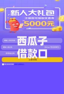 西瓜子借款口子如何申请？安全放款流程全解析