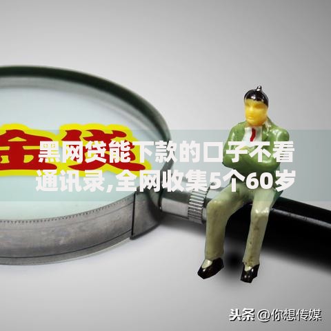 黑网贷能下款的口子不看通讯录,全网收集5个60岁以上老人网贷口子