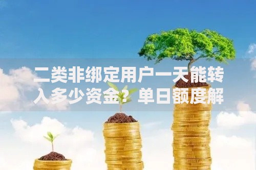 二类非绑定用户一天能转入多少资金？单日额度解析与实用建议