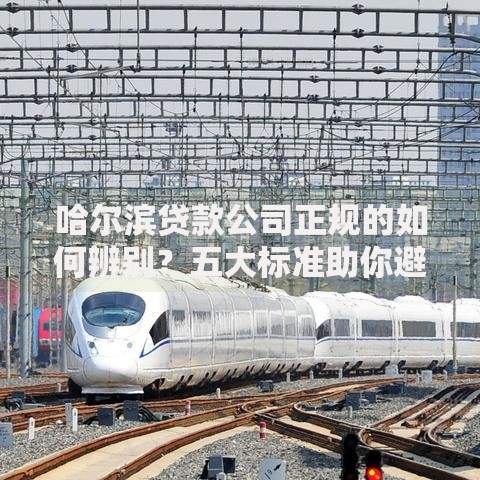 哈尔滨贷款公司正规的如何辨别？五大标准助你避坑