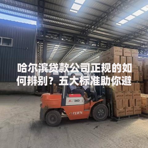 哈尔滨贷款公司正规的如何辨别？五大标准助你避坑