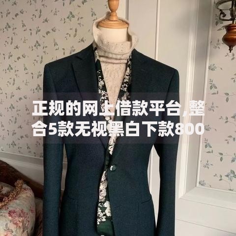 正规的网上借款平台,整合5款无视黑白下款8000左右的口子
