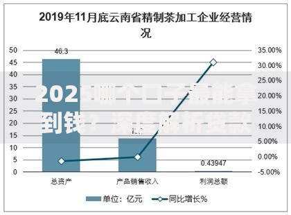 2025哪个口子最能拿到钱？深度解析贷款渠道与政策趋势