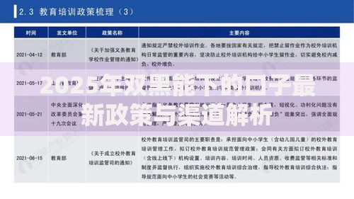 2025年双黑能下的口子最新政策与渠道解析
