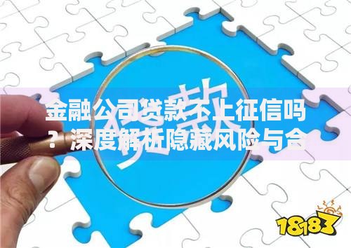金融公司贷款不上征信吗？深度解析隐藏风险与合规选择
