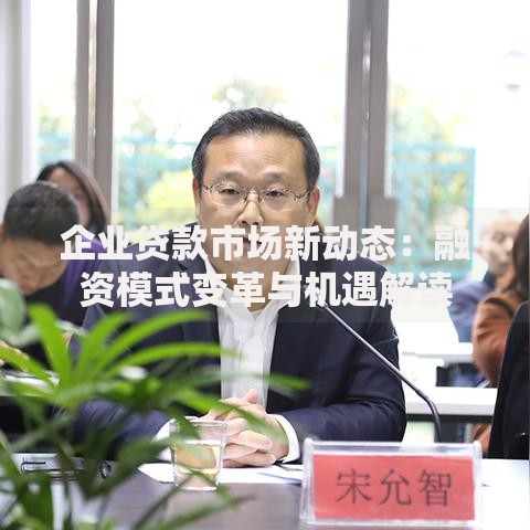 企业贷款市场新动态：融资模式变革与机遇解读