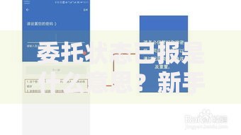 委托状态已报是什么意思？新手必看的交易状态解析