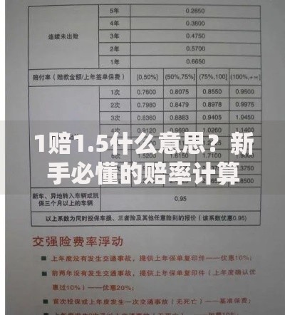 1赔1.5什么意思？新手必懂的赔率计算与风险解析