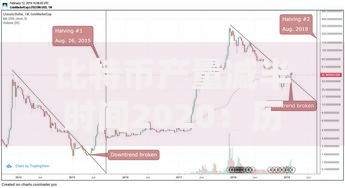 比特币产量减半时间2020：历史性转折对市场的影响与启示