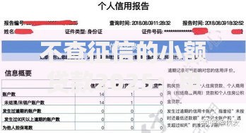 不查征信的小额贷款2025：申请流程与风险解析