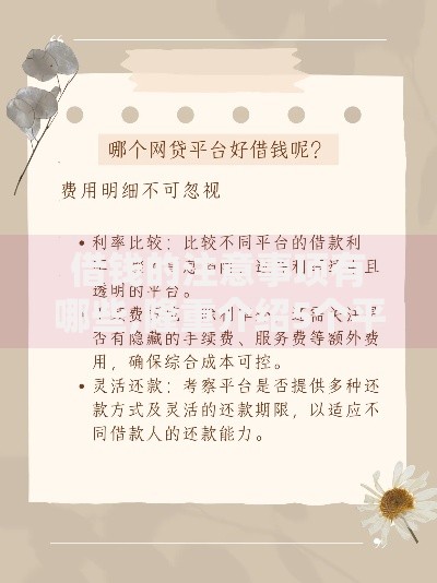 借钱的注意事项有哪些,隆重介绍5个平台不看征信不看负债可以贷到钱