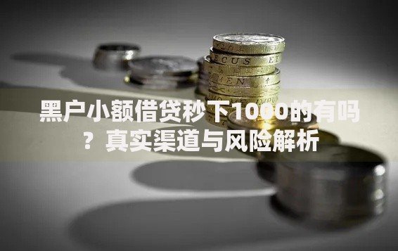 黑户小额借贷秒下1000的有吗？真实渠道与风险解析