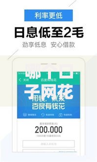 哪个口子网花能下款？真实评测与操作指南