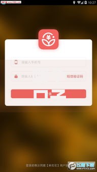 哪个口子网花能下款？真实评测与操作指南