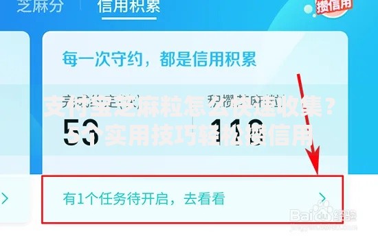 支付宝芝麻粒怎么快速收集？5个实用技巧轻松攒信用