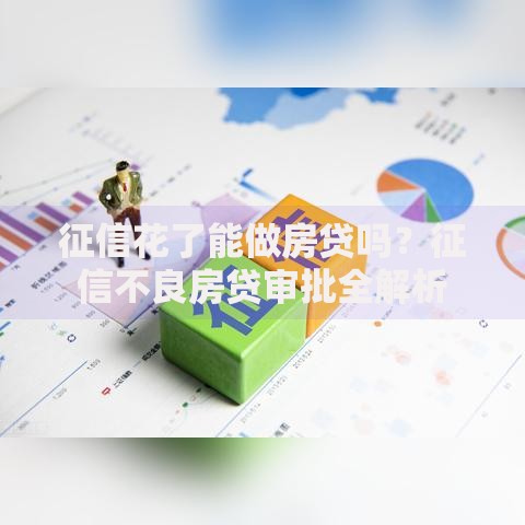 征信花了能做房贷吗？征信不良房贷审批全解析