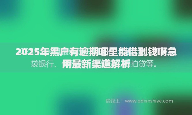 2025年黑户有逾期哪里能借到钱啊急用最新渠道解析