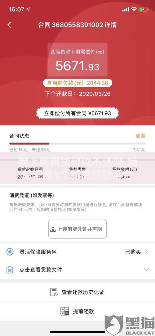 网上黑网贷可以不还吗,简单汇总5个新的贷款平台