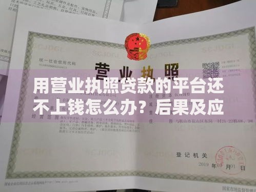 用营业执照贷款的平台还不上钱怎么办？后果及应对方案解析