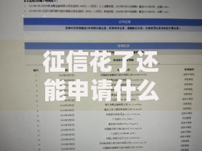征信花了还能申请什么借款可以秒到？渠道解析