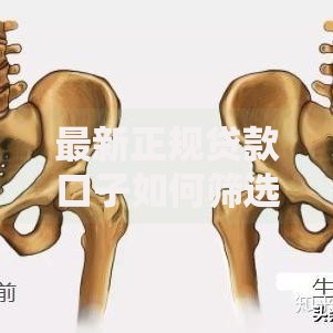 最新正规贷款口子如何筛选？资质审核与避坑指南